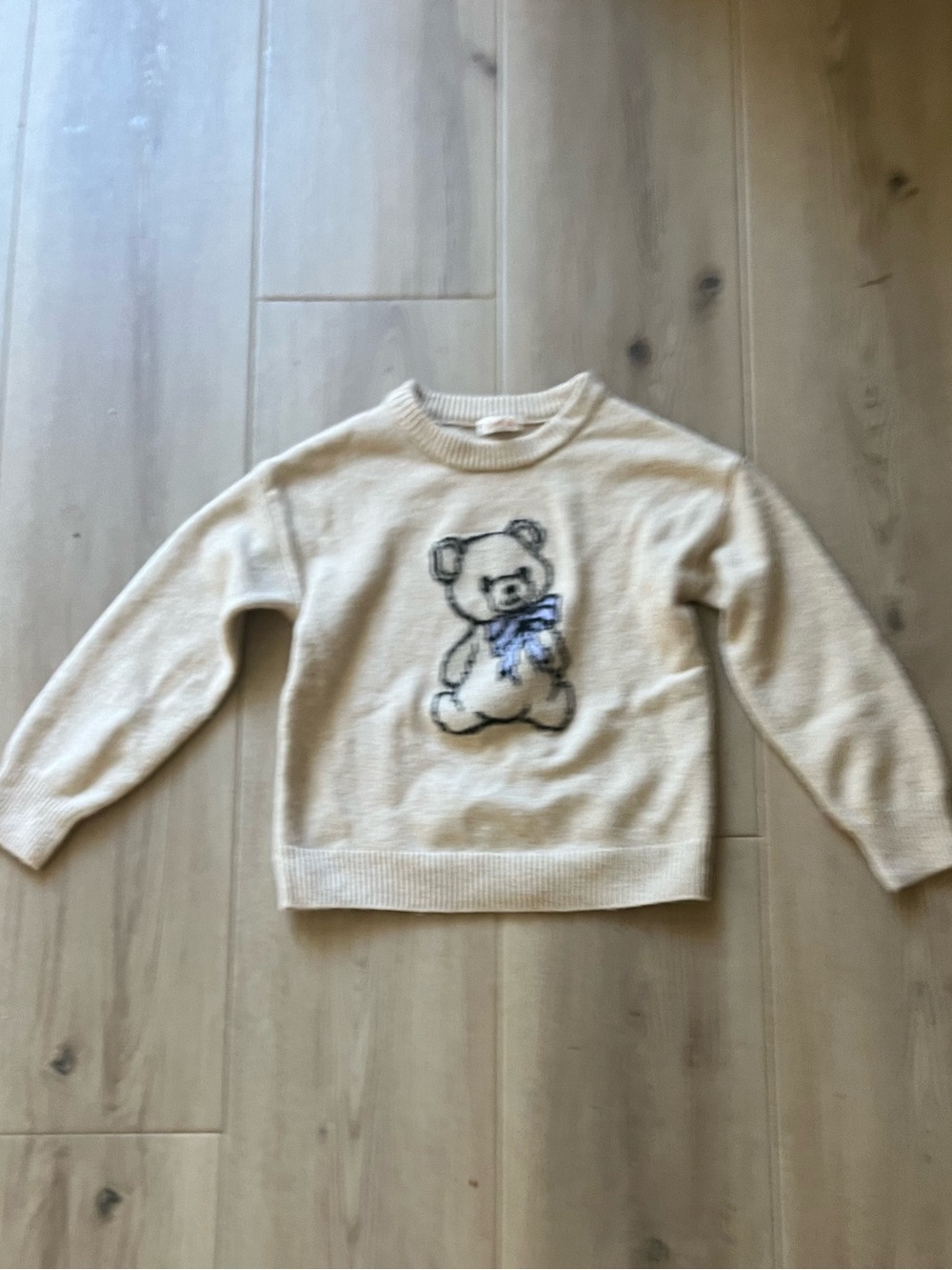 Teddy Bear Sweater